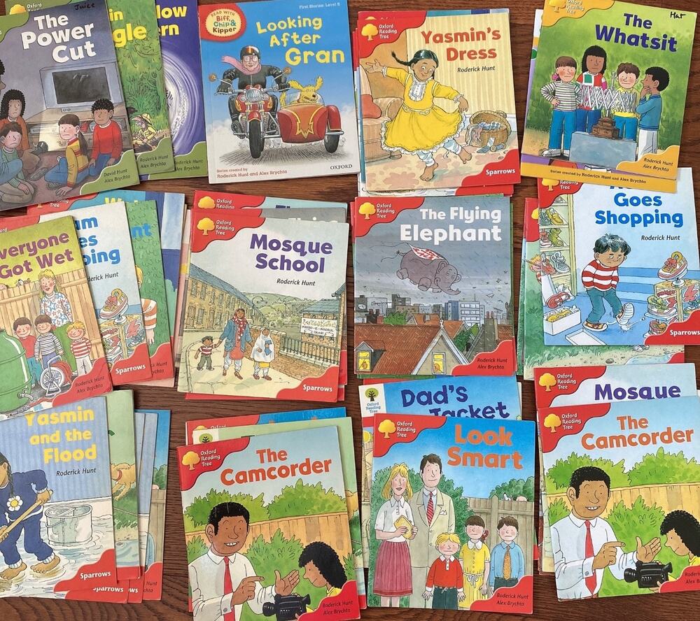 Lot of 20 Oxford Reading Tree Read With Biff, Chip & Kipper Books Levels 4-6